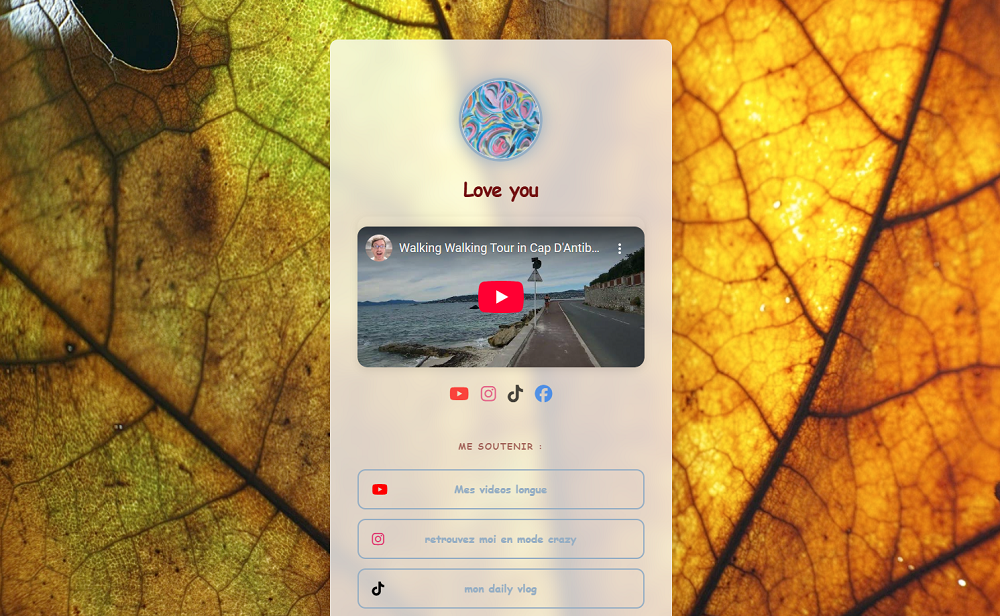 Exemple Fiche IZzMy.Com